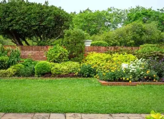 landscaping services Clearwater